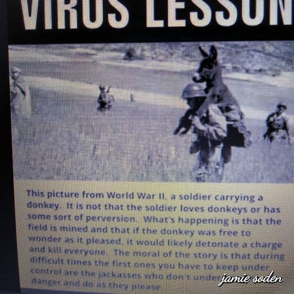 Meet your Posher, Jamie - Picture 16 of 17